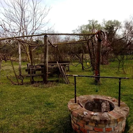 Le P'tit Baigneur - Balaton * 시글리게트