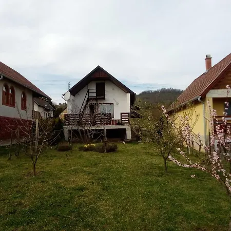 Le P'tit Baigneur - Balaton